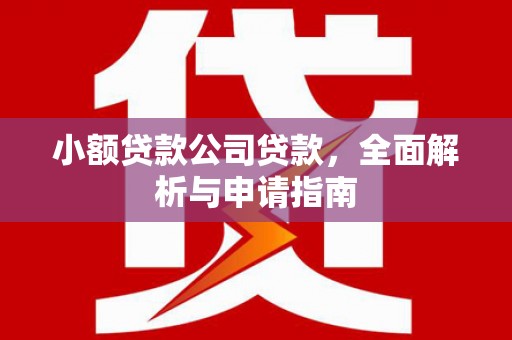 颍东小额贷款公司贷款，全面解析与申请指南