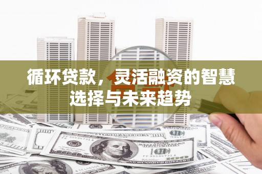颍东循环贷款，灵活融资的智慧选择与未来趋势
