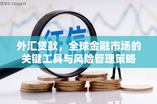 颍东外汇贷款，全球金融市场的关键工具与风险管理策略