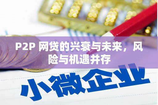 颍东P2P 网贷的兴衰与未来，风险与机遇并存