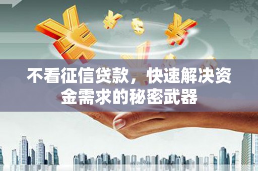 颍东不看征信贷款，快速解决资金需求的秘密武器
