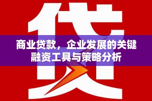 颍东商业贷款，企业发展的关键融资工具与策略分析