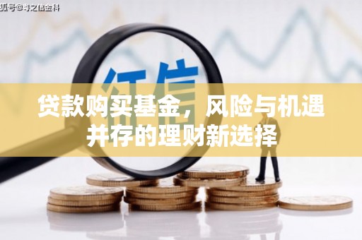 颍东贷款购买基金，风险与机遇并存的理财新选择