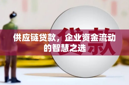 颍东供应链贷款，企业资金流动的智慧之选