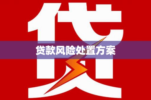 颍东贷款风险处置方案