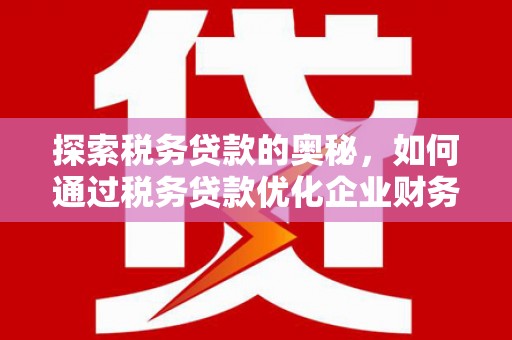 颍东探索税务贷款的奥秘，如何通过税务贷款优化企业财务