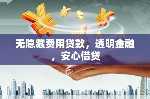 颍东无隐藏费用贷款，透明金融，安心借贷