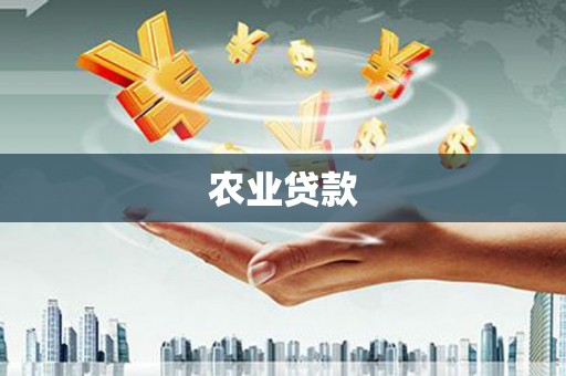 颍东农业贷款