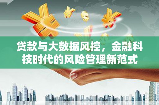 颍东贷款与大数据风控，金融科技时代的风险管理新范式