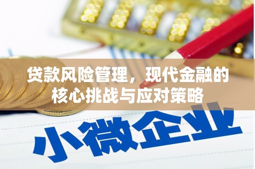 颍东贷款风险管理，现代金融的核心挑战与应对策略