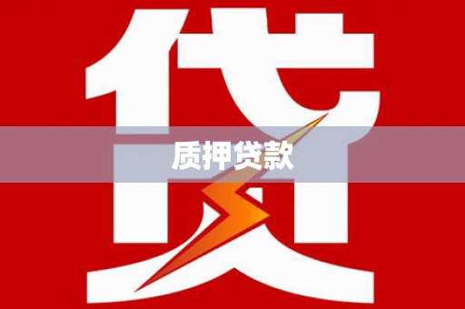 颍东质押贷款