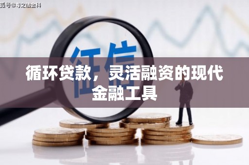 颍东循环贷款，灵活融资的现代金融工具