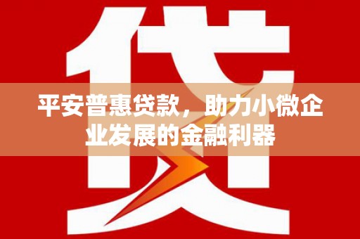 颍东平安普惠贷款，助力小微企业发展的金融利器