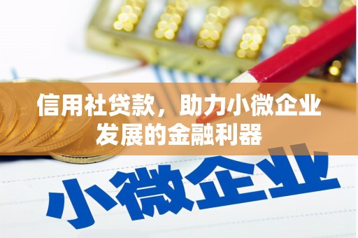 颍东信用社贷款，助力小微企业发展的金融利器