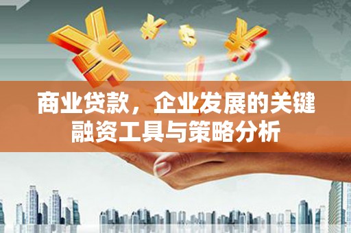 颍东商业贷款，企业发展的关键融资工具与策略分析