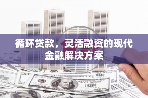 颍东循环贷款，灵活融资的现代金融解决方案