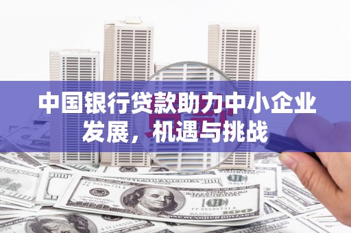 颍东中国银行贷款助力中小企业发展，机遇与挑战