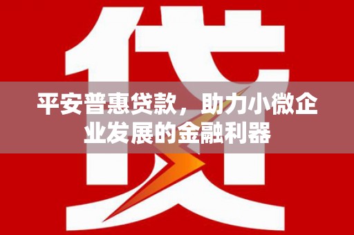 颍东平安普惠贷款，助力小微企业发展的金融利器