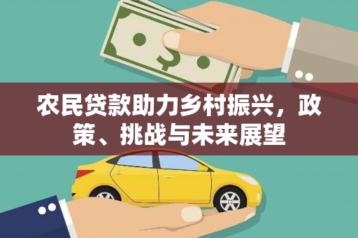 颍东农民贷款助力乡村振兴，政策、挑战与未来展望
