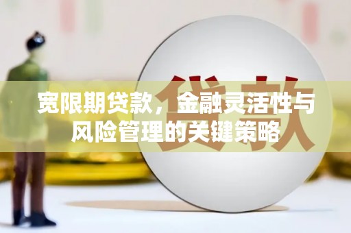 颍东宽限期贷款，金融灵活性与风险管理的关键策略