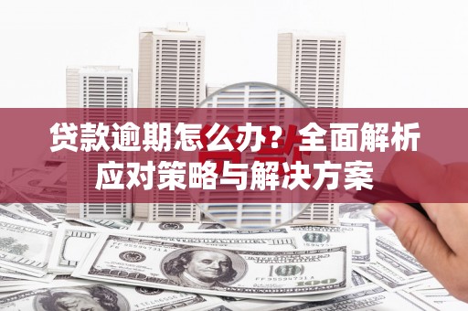 颍东贷款逾期怎么办？全面解析应对策略与解决方案