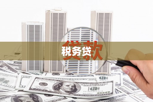 颍东税务贷