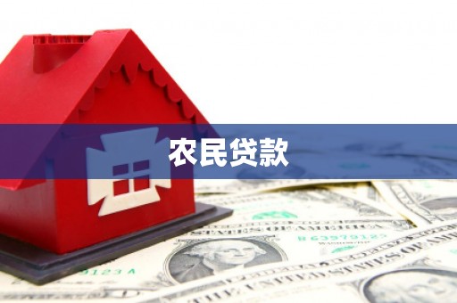 颍东农民贷款