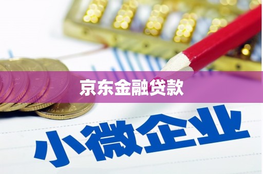 颍东京东金融贷款