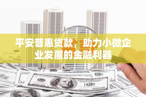 颍东平安普惠贷款，助力小微企业发展的金融利器