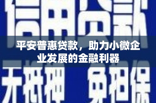 颍东平安普惠贷款，助力小微企业发展的金融利器
