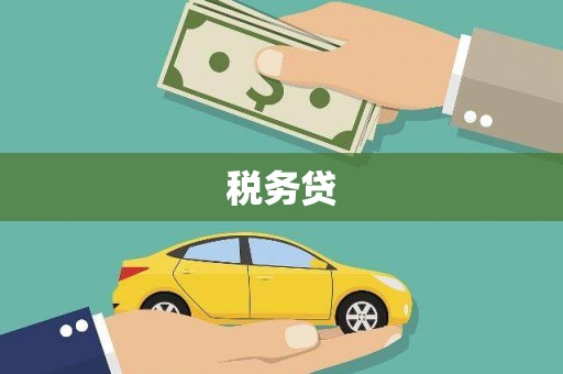 颍东税务贷