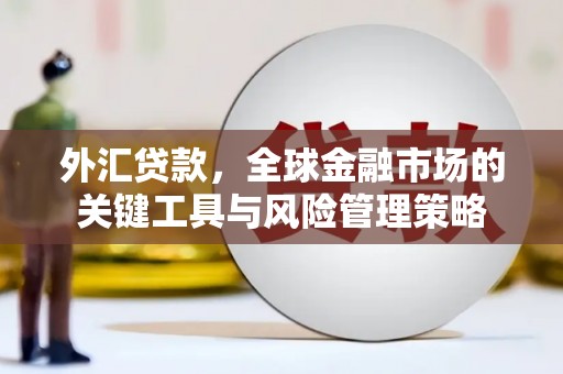 颍东外汇贷款，全球金融市场的关键工具与风险管理策略