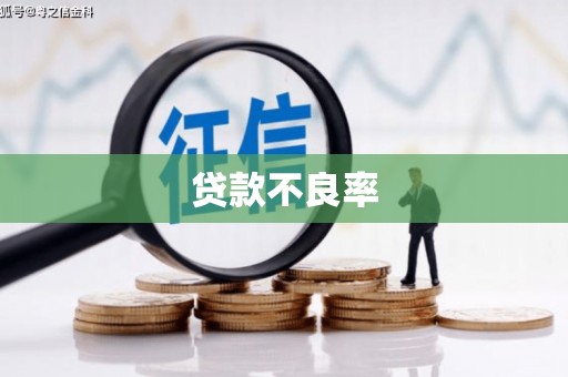 颍东贷款不良率