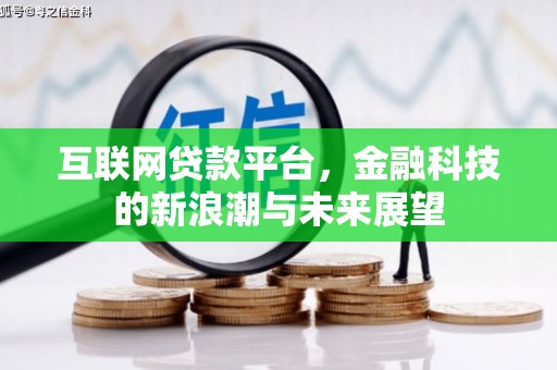 颍东互联网贷款平台，金融科技的新浪潮与未来展望