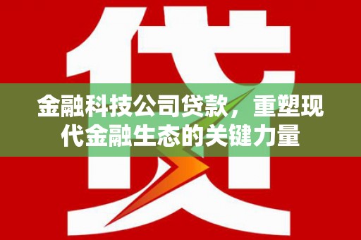 颍东金融科技公司贷款，重塑现代金融生态的关键力量