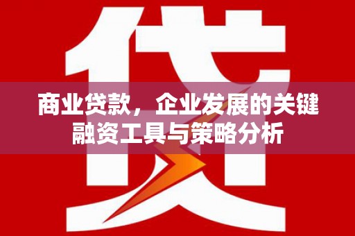 颍东商业贷款，企业发展的关键融资工具与策略分析