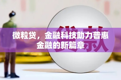 颍东微粒贷，金融科技助力普惠金融的新篇章