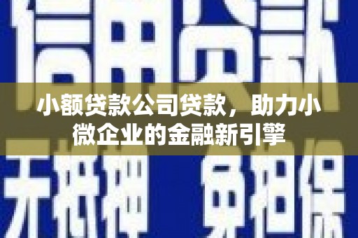 颍东小额贷款公司贷款，助力小微企业的金融新引擎