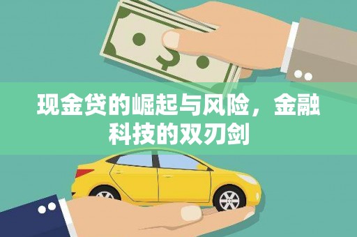 颍东现金贷的崛起与风险，金融科技的双刃剑