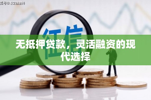 颍东无抵押贷款，灵活融资的现代选择