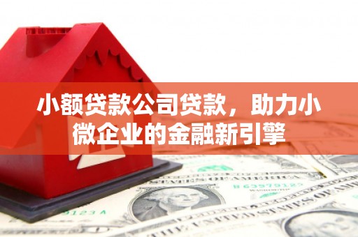 颍东小额贷款公司贷款，助力小微企业的金融新引擎