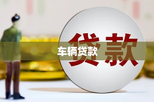 颍东车辆贷款