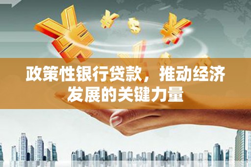 颍东政策性银行贷款，推动经济发展的关键力量
