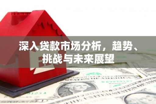 颍东深入贷款市场分析，趋势、挑战与未来展望