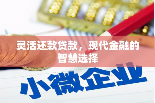 颍东灵活还款贷款，现代金融的智慧选择