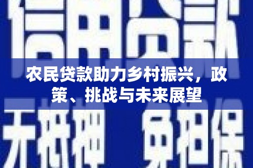 颍东农民贷款助力乡村振兴，政策、挑战与未来展望