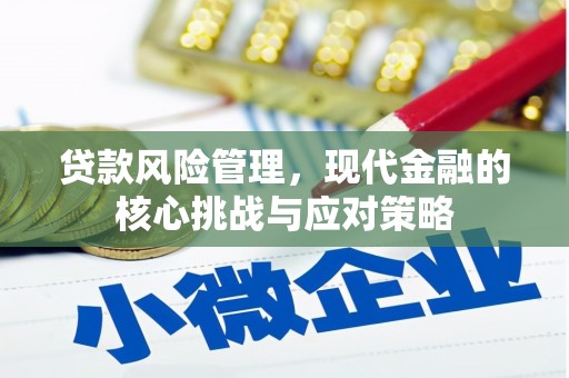 颍东贷款风险管理，现代金融的核心挑战与应对策略