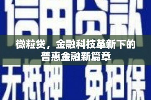 颍东微粒贷，金融科技革新下的普惠金融新篇章