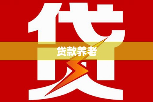 颍东贷款养老