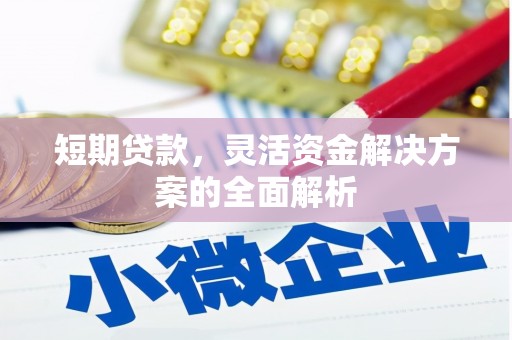 颍东短期贷款，灵活资金解决方案的全面解析
